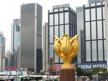 Golden Bauhinia Square