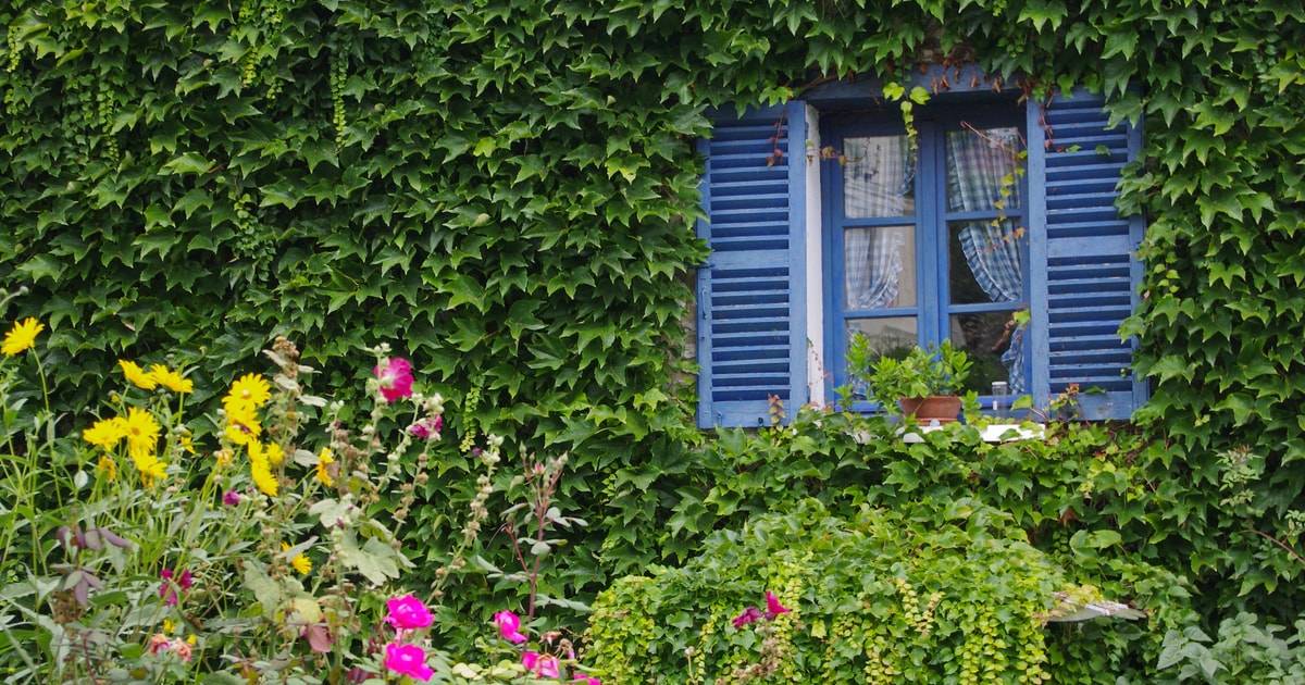 Giverny, Paris Book Tickets & Tours