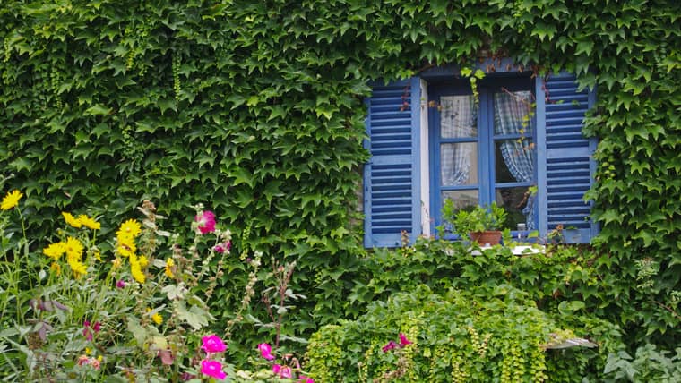 Las Mejores Actividades en Giverny