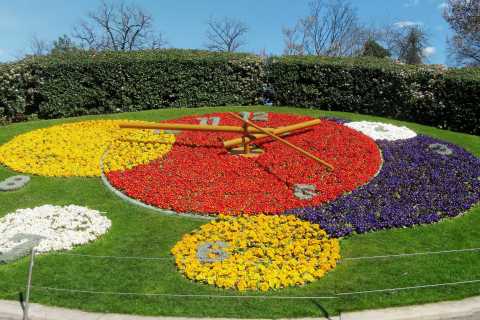 Geneva Flower Clock