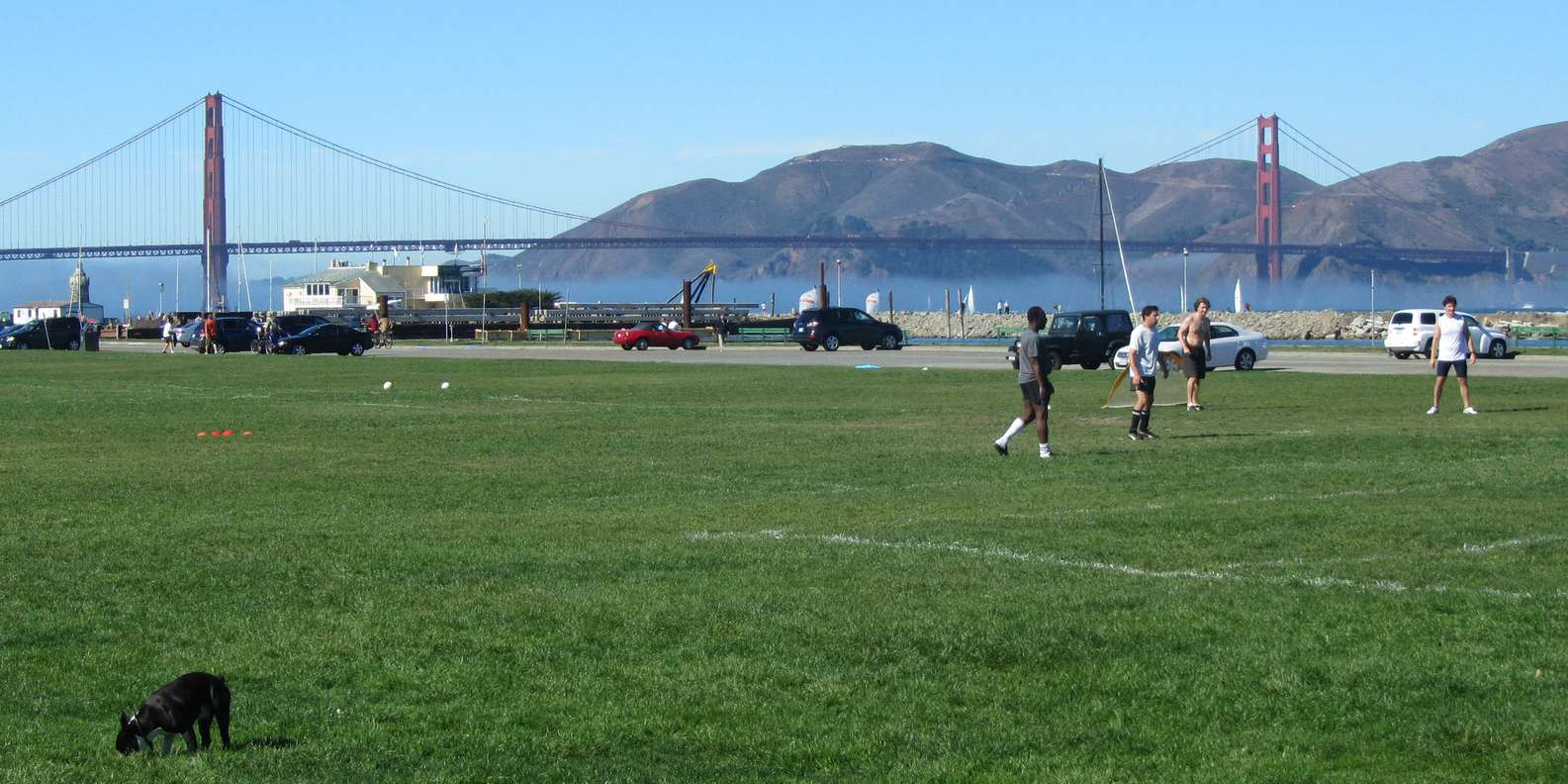 Marina Green, San Francisco Book Tickets & Tours GetYourGuide