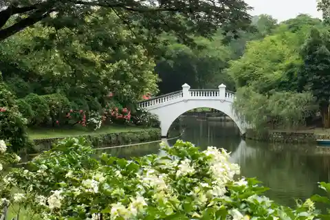 9. Ogród botaniczny Perdana
