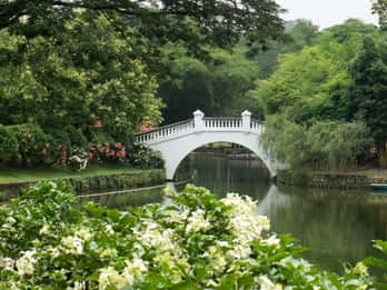 Perdana Botanical Garden Tours & Tickets