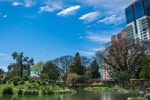 10. Jardín japonés de Buenos Aires