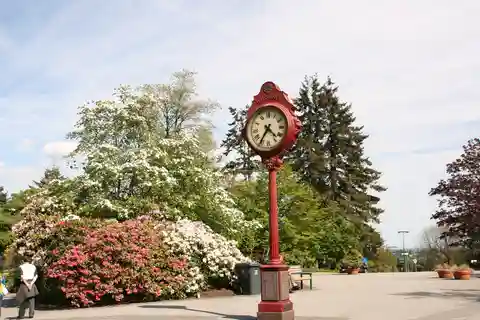 7. クイーン エリザベス公園