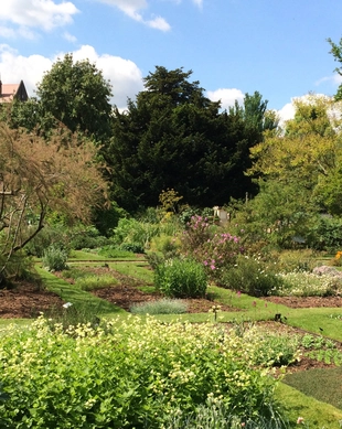 Chelsea Physic Garden, London Book Tickets Tours GetYourGuide
