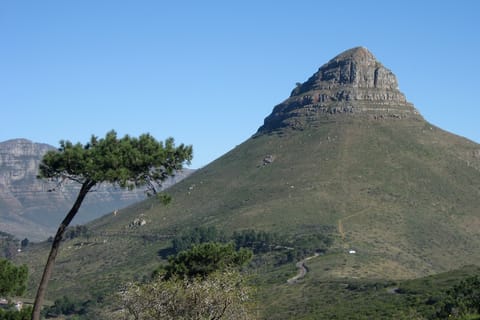 Signal Hill, Cidade do Cabo
