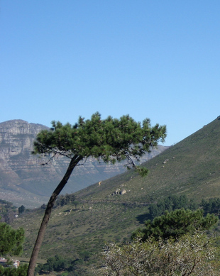 Signal Hill, Cape Town, Cape Town - Book Tickets & Tours 