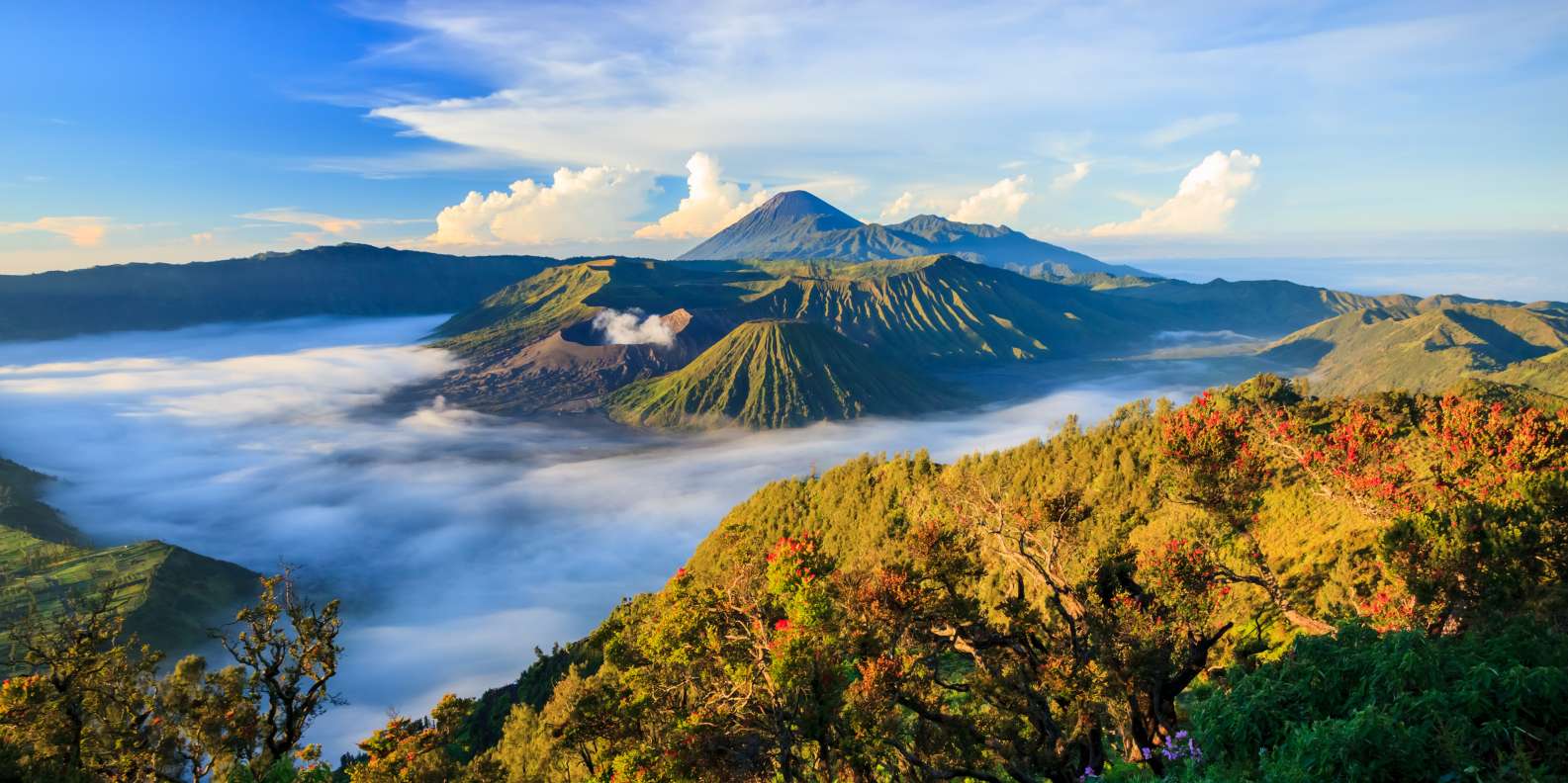The BEST Indonesia Nature & adventure 2023  FREE Cancellation GetYourGuide