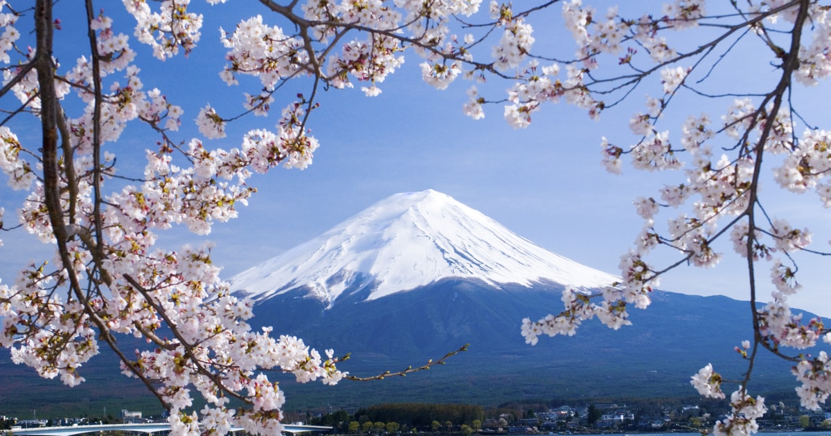 The best Mount Fuji Spring activities - 2026 (Verified Reviews)