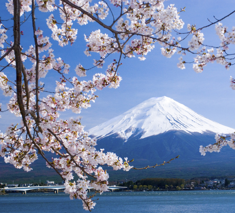 Mount Fuji, Fujinomiya - Book Tickets & Tours | GetYourGuide