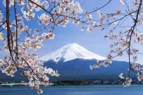 1. 富士山