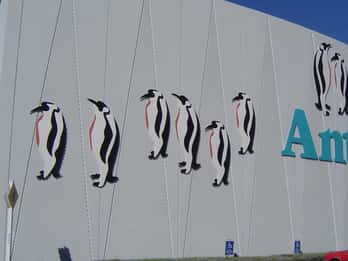 Rondleidingen & Tickets voor International Antarctic Centre
