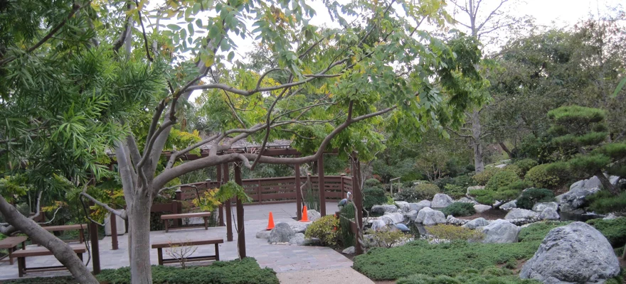 Japanese Friendship Garden