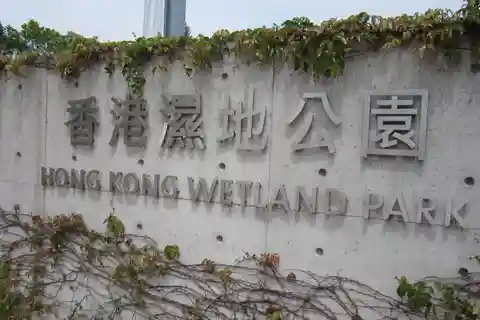 6. Hong Kong Wetland Park