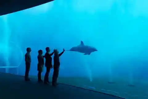 1. Aquarium de Gênes