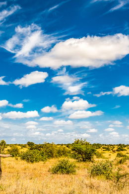 Nationaal Park Kruger: De BESTE Tours En Dingen Om Te Doen In 2024 ...