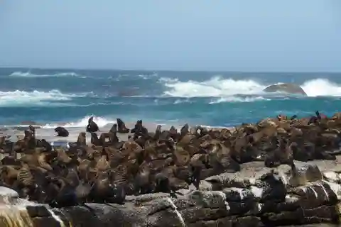10. Seal Island