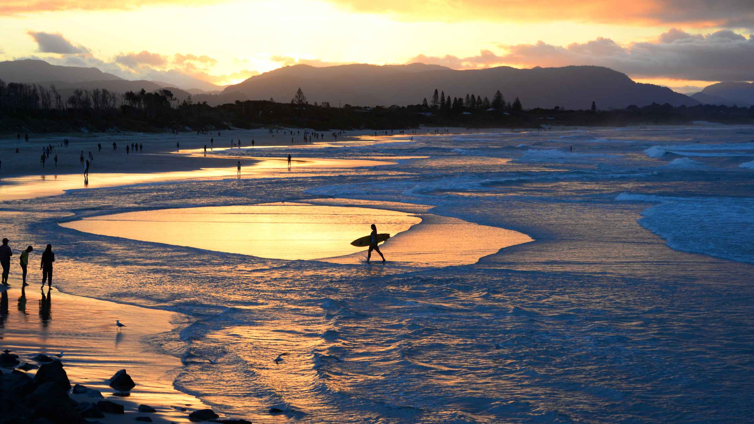 Byron Bay Hinterland HalfDay Tours GetYourGuide