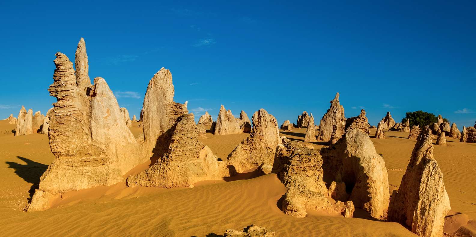 The Pinnacles Australia Zachodnia Zdobądź Bilety Getyourguide