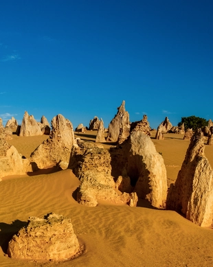 Deserto dei Pinnacoli