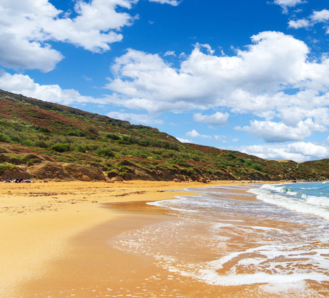 Travelers recommend
