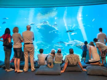 Palma Aquarium Tours & Tickets