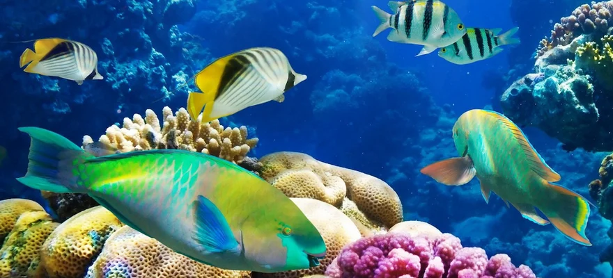 The Marine Aquarium, Rio de Janeiro