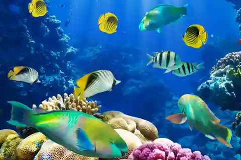 7. Aquário Marinho do Rio de Janeiro