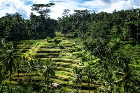 Many spiritual items - Picture of Rainbow Spirit, Ubud - Tripadvisor