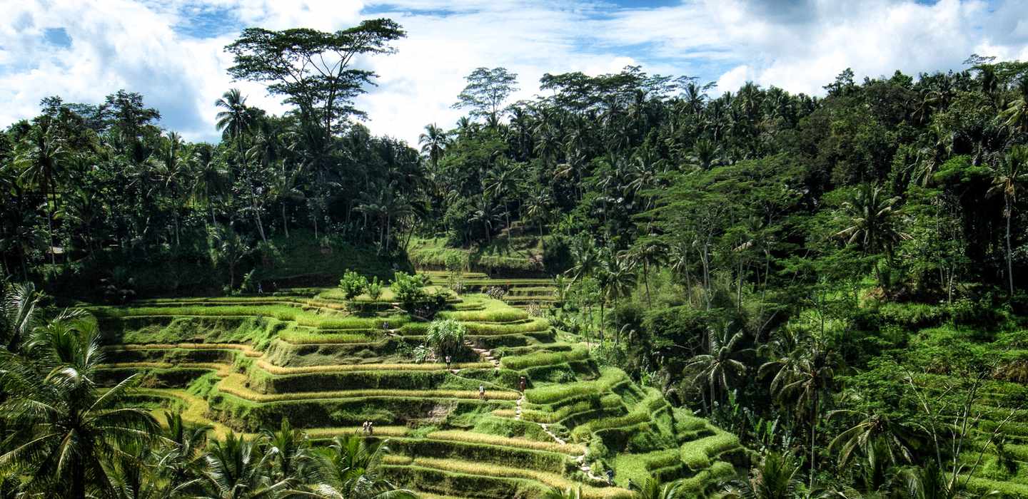 Ubud