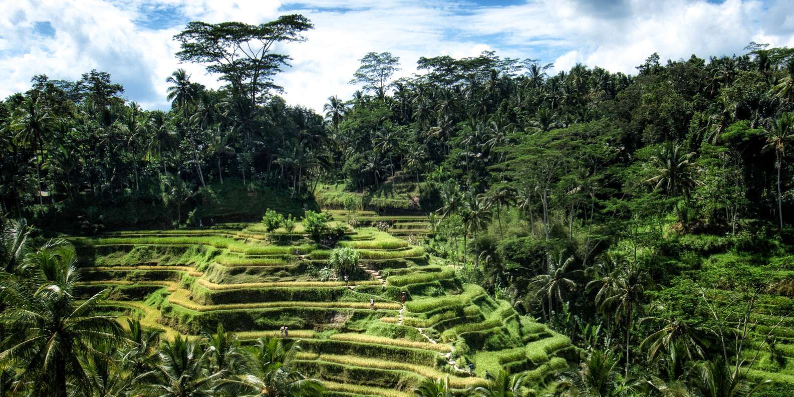 Tagesausfl Ge Von Ubud Nach Tempel Gunung Kawi Getyourguide