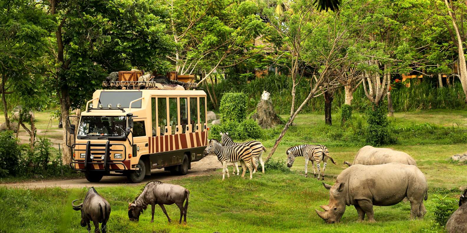 bali safari park deals