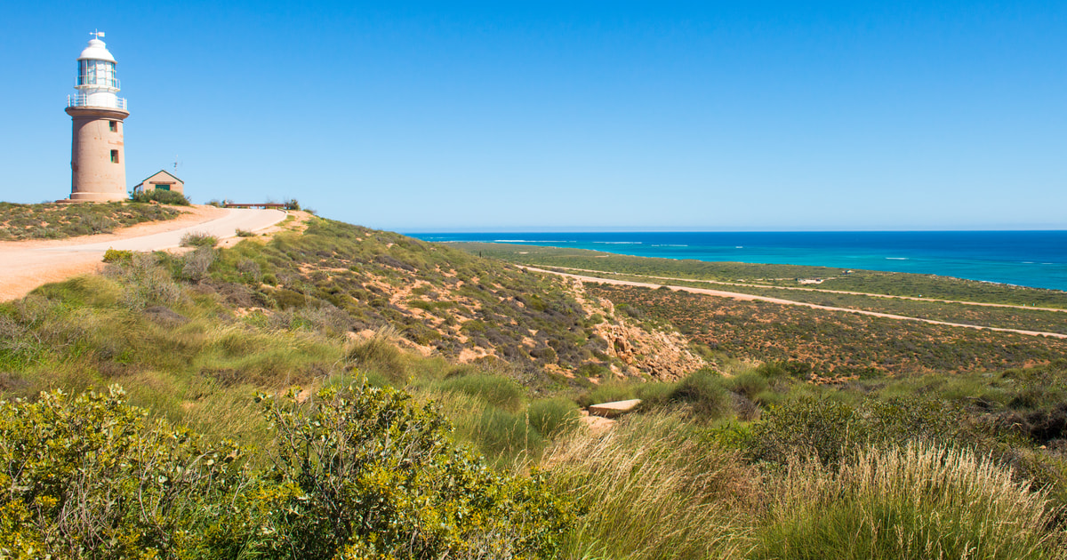 Exmouth 2020 Top 10 Touren & Aktivitäten (mit Fotos) Erlebnisse in