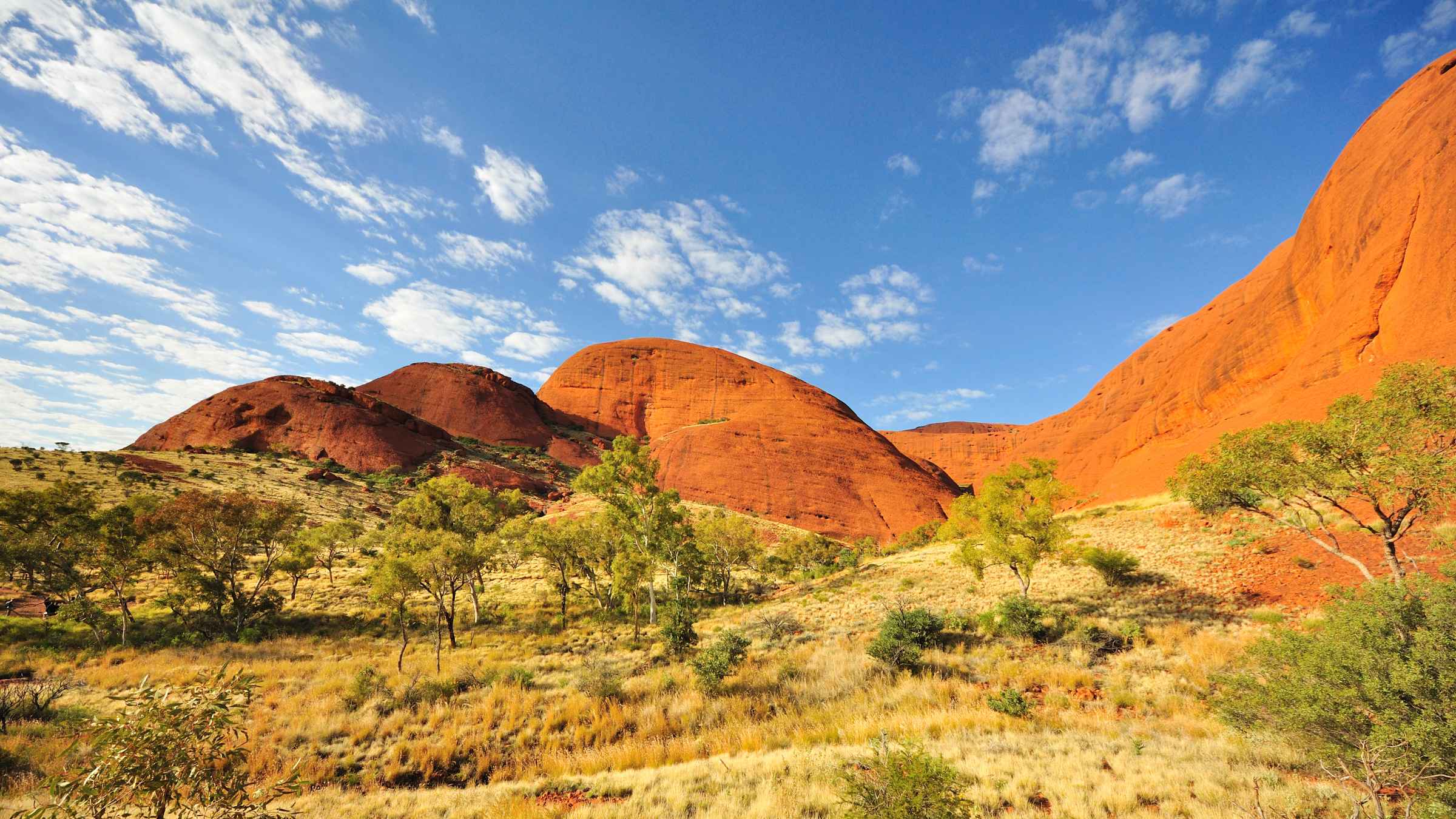 I 10 migliori tour di Alice Springs nel 2021 (con foto) Cose da fare