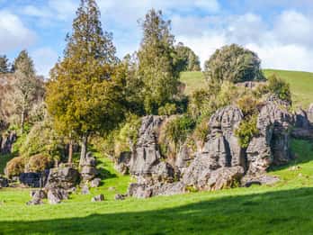 Waitomo Matkat ja Liput