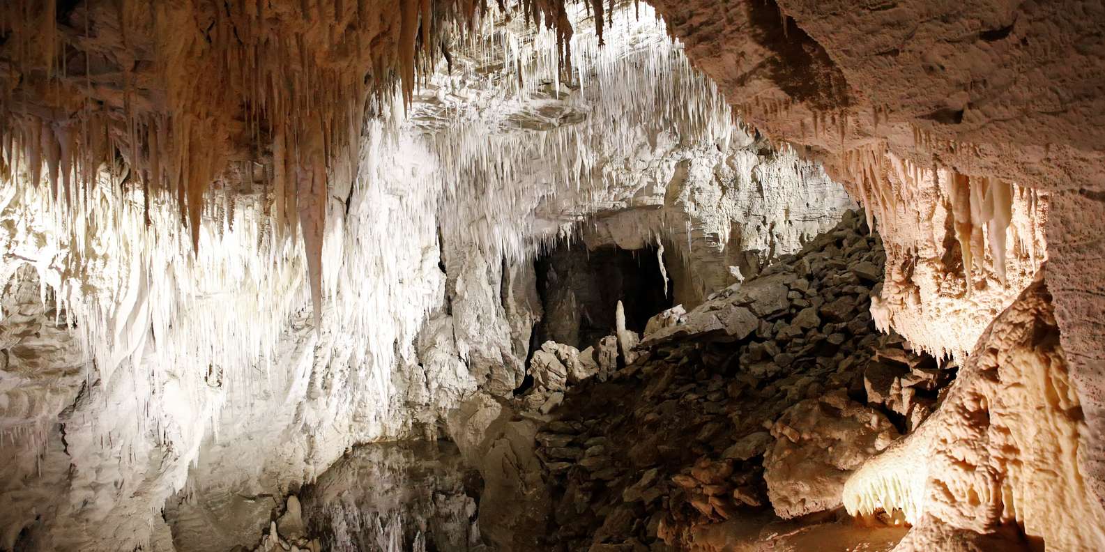 Waitomo Glowworm Caves, Waitomo - Book Tickets & Tours | GetYourGuide