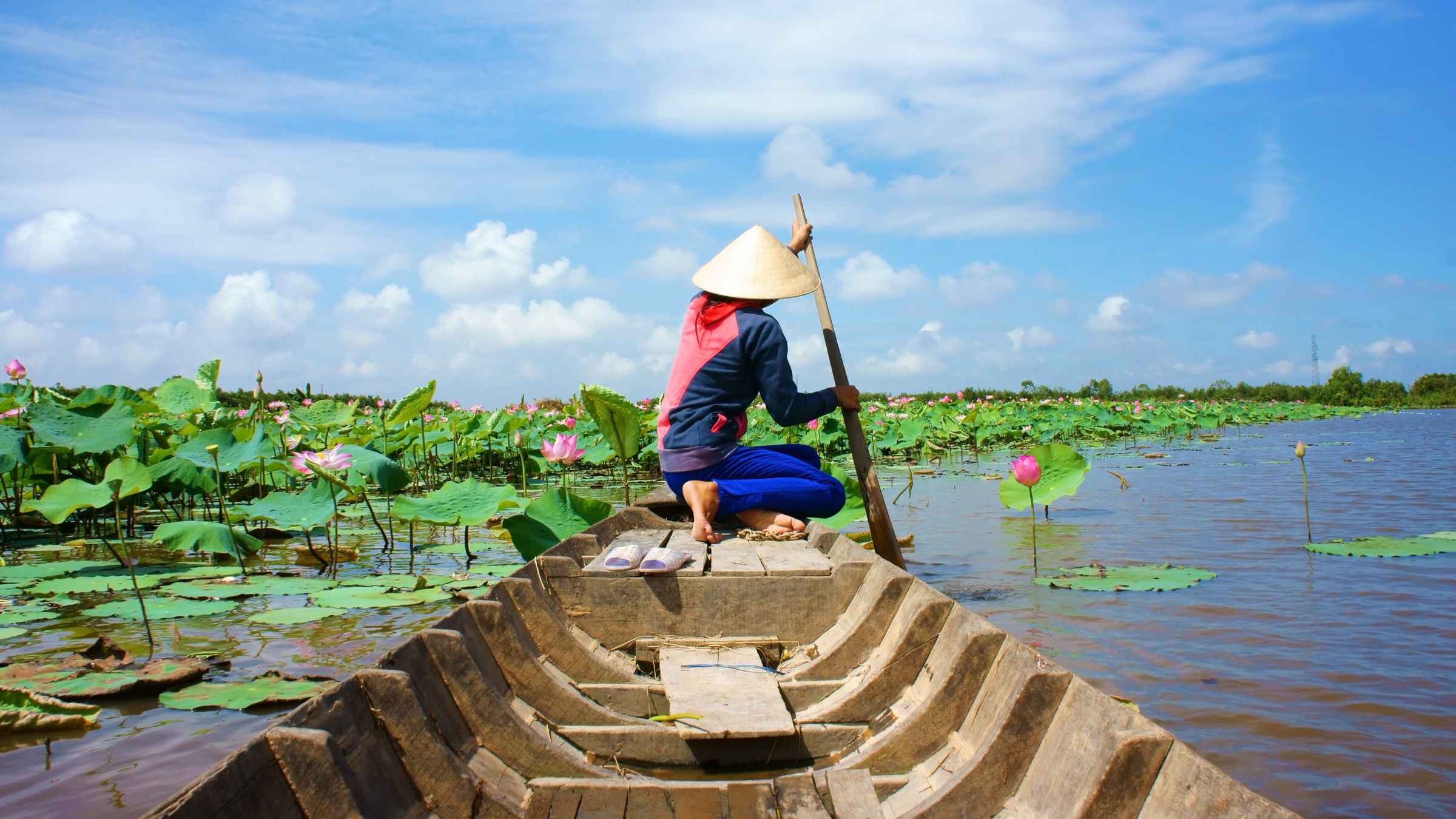 mekong delta tourist trap