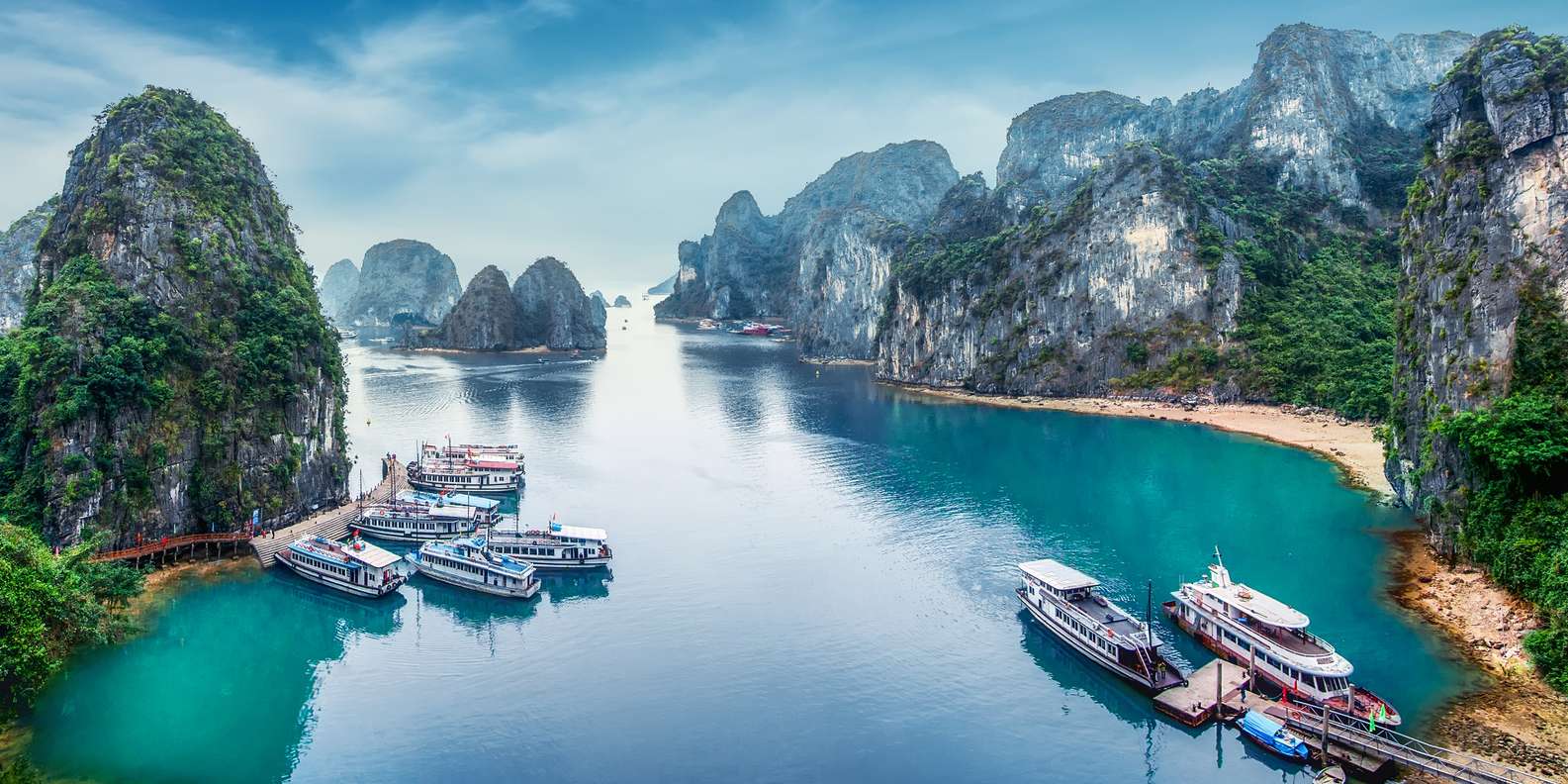 focus wtv cruise vietnam 2023