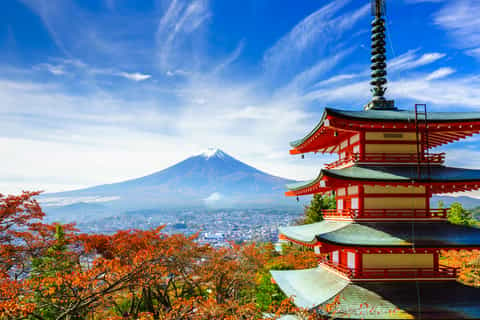 The BEST Japan Tours and Things to Do in 2023 - FREE Cancellation