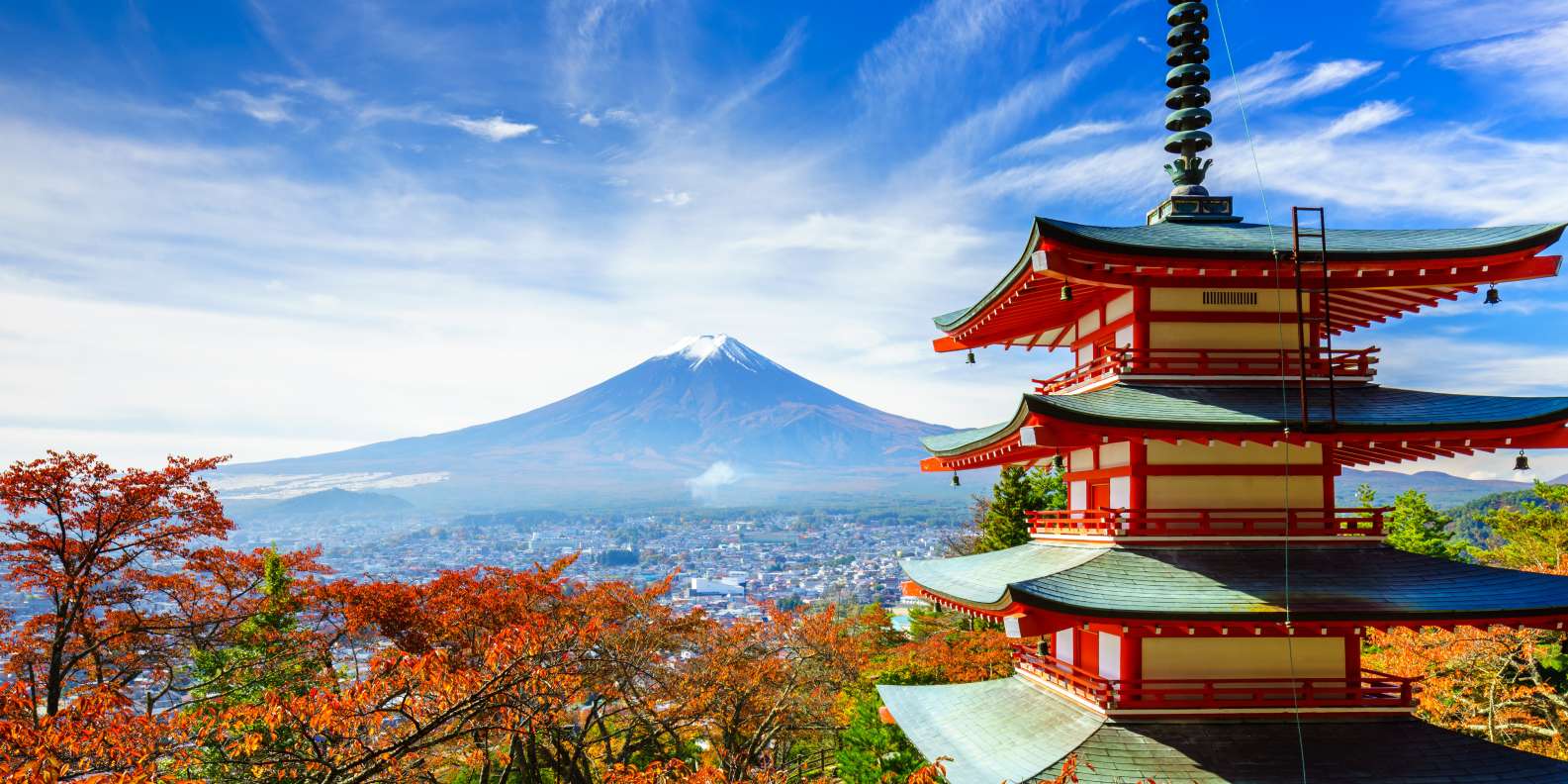 The BEST Japan Wheelchair accessible 2024  FREE Cancellation GetYourGuide