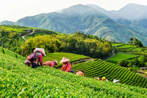 The BEST Taiwan Tours and Things to Do in 2026 - GetYourGuide