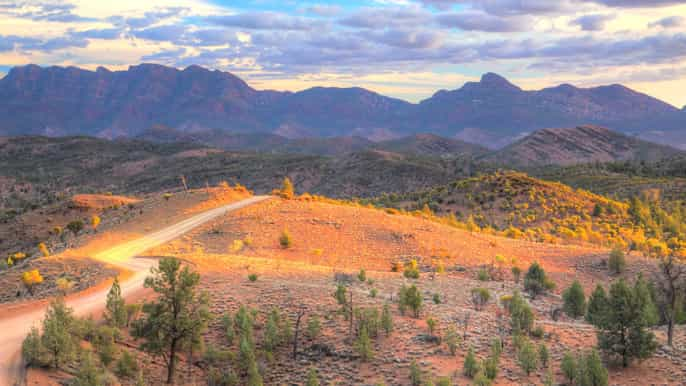 Flinders Ranges 2021: Top 10 Tours & Activities (with Photos) - Things