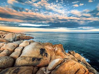 Fleurieu Peninsula Matkat ja Liput