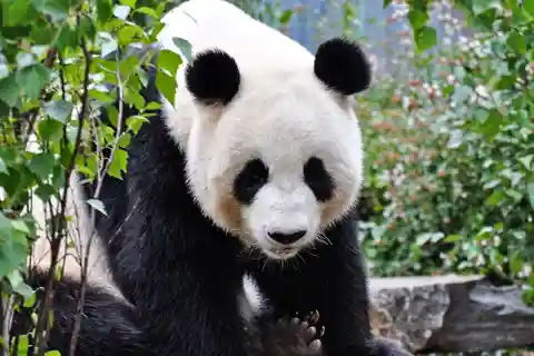 2. Adelaide Zoo