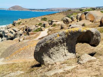 Granite Island Matkat ja Liput