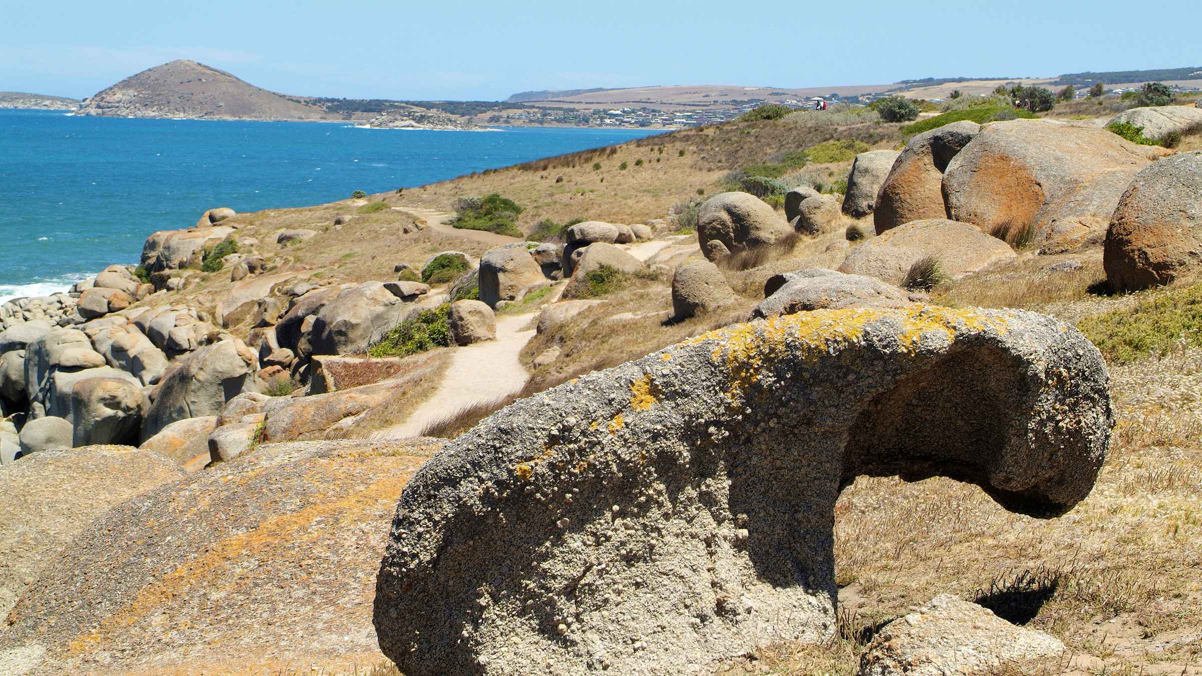Granite Island, Victor Harbor Book Tickets & Tours GetYourGuide