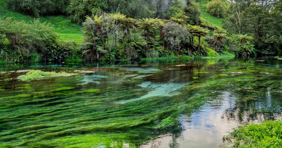 Waikato 2020 Top 10 Touren & Aktivitäten (mit Fotos) Erlebnisse in