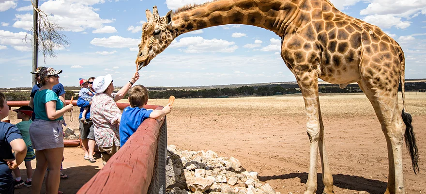 Monarto Zoo