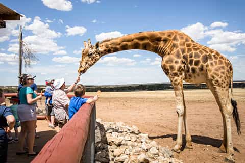 Monarto Zoo
